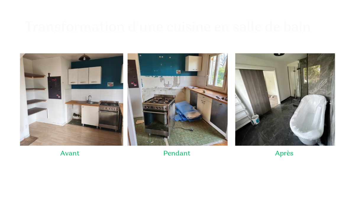 ZILA RENOVATION